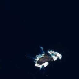 Satellite imagery of Cow and Calf Rocks, AU