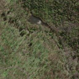 Satellite imagery of Old Government House, AU