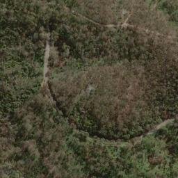 Satellite imagery of Old Government House, AU