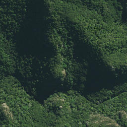 Satellite imagery of Kairara Rock (Dukes Nose), NZ