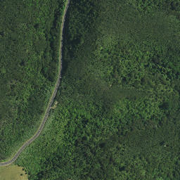 Satellite imagery of Kauwaiorangi Pa, NZ