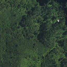 Satellite imagery of Kauwaiorangi Pa, NZ