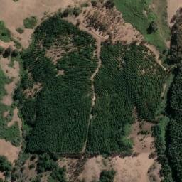 Satellite imagery of Loma Lisa, CL