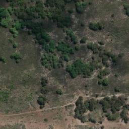 Satellite imagery of Horny Point, AU