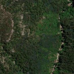 Satellite imagery of Mount Coolumburra, AU
