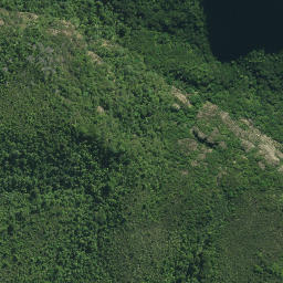 Satellite imagery of Waihi Point, NZ