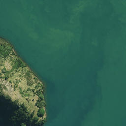 Satellite imagery of Omaiki Point, NZ