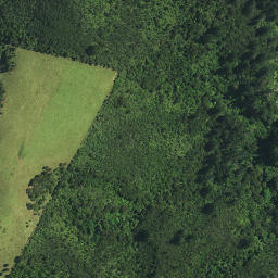 Satellite imagery of Kauwaiorangi Pa, NZ