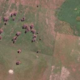 Satellite imagery of Blackball Hill, AU
