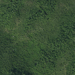Satellite imagery of Waihi Point, NZ