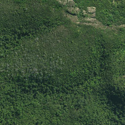 Satellite imagery of Waihi Point, NZ