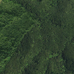 Satellite imagery of Kauwaiorangi Pa, NZ