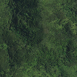 Satellite imagery of Kauwaiorangi Pa, NZ