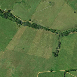 Satellite imagery of 1031, NZ