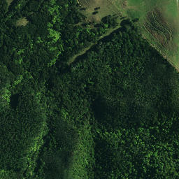 Satellite imagery of C NO 2, NZ