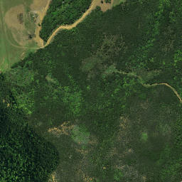 Satellite imagery of C NO 2, NZ