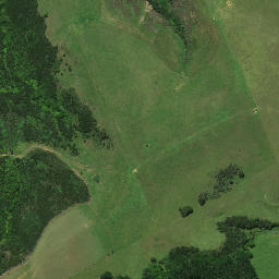 Satellite imagery of C NO 2, NZ