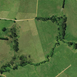 Satellite imagery of 1031, NZ