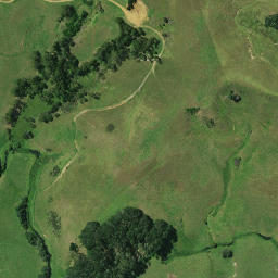 Satellite imagery of 1031, NZ