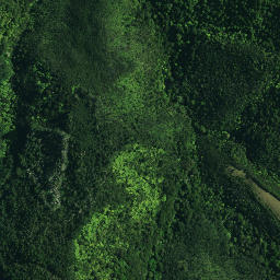 Satellite imagery of C NO 2, NZ