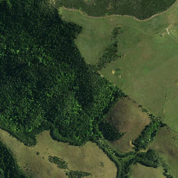 Satellite imagery of C NO 2, NZ