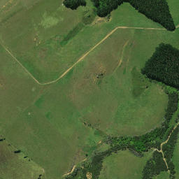 Satellite imagery of C NO 2, NZ