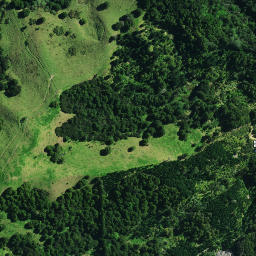Satellite imagery of TE PEWA NO 2, NZ