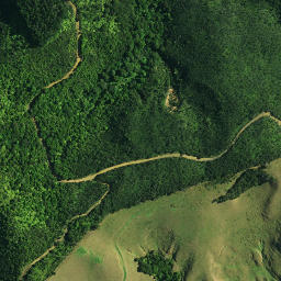 Satellite imagery of C NO 2, NZ