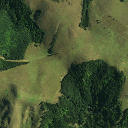 Satellite imagery of C NO 2, NZ