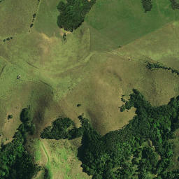 Satellite imagery of C NO 2, NZ