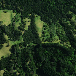 Satellite imagery of TE PEWA NO 2, NZ