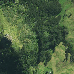 Satellite imagery of 13 ST PAULS, NZ