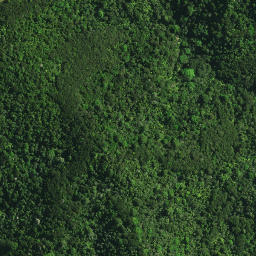 Satellite imagery of ORURU, NZ