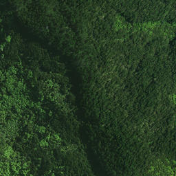 Satellite imagery of PAROANUI, NZ