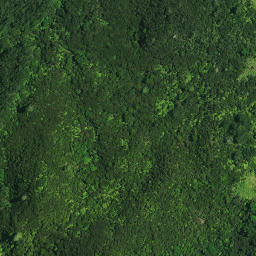 Satellite imagery of PAROANUI, NZ