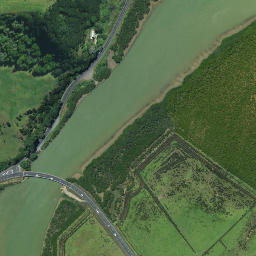 Satellite imagery of Taupuke Point, NZ