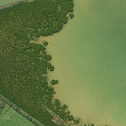 Satellite imagery of Taupuke Point, NZ