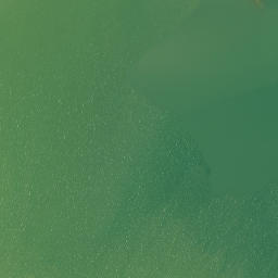 Satellite imagery of Cape Horn, NZ
