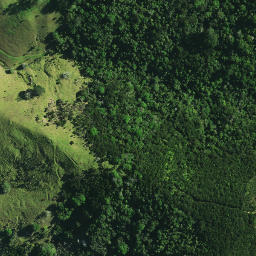 Satellite imagery of ORURU, NZ