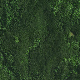 Satellite imagery of PAROANUI, NZ
