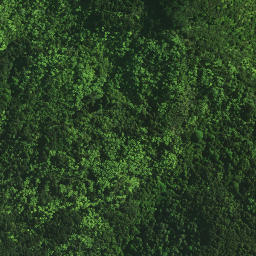 Satellite imagery of PAROANUI, NZ
