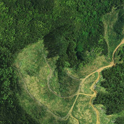 Satellite imagery of PAROANUI, NZ