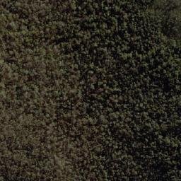 Satellite imagery of Mount Narrangullen, AU