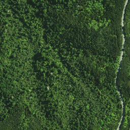Satellite imagery of KOHUMARU, NZ