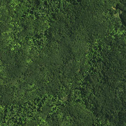 Satellite imagery of KOHUMARU, NZ