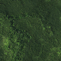 Satellite imagery of KOHUMARU, NZ