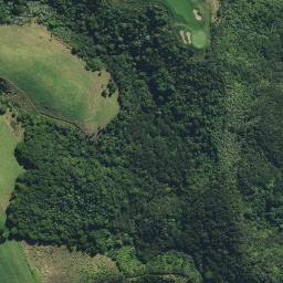 Satellite imagery of Haimama Pa, NZ