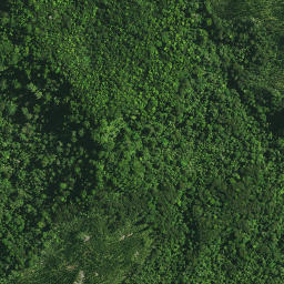 Satellite imagery of OTANGAROA, NZ