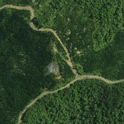 Satellite imagery of OTANGAROA, NZ