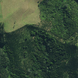 Satellite imagery of Rangihamama Pa, NZ